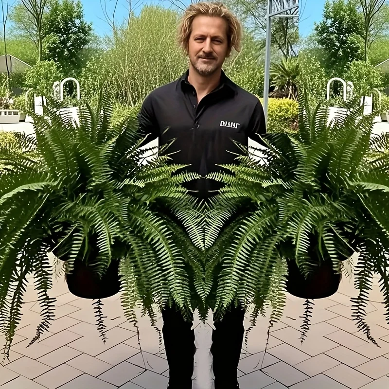4 Large Boston Fern Greenery, 34-Inch Artificial Plant, Suitable for Outdoor Use, Home Office, Garden Porch Barn Decoration, Wedding Anniversary Festivals (Easter, Mother'S Day, Earth Day), Spring And Summer Display, Indoor A